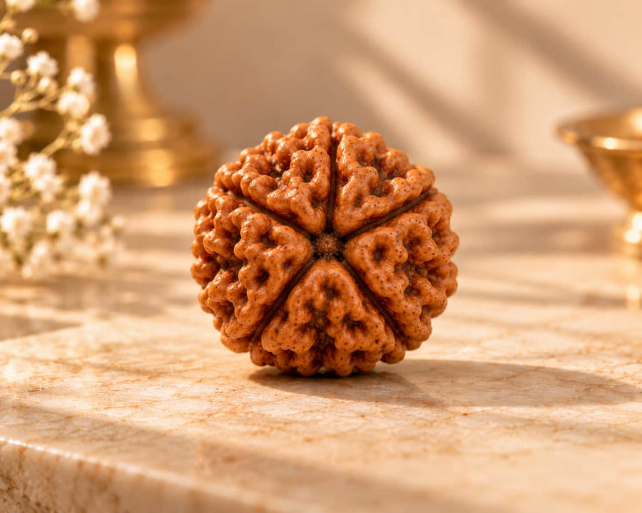 5 Mukhi