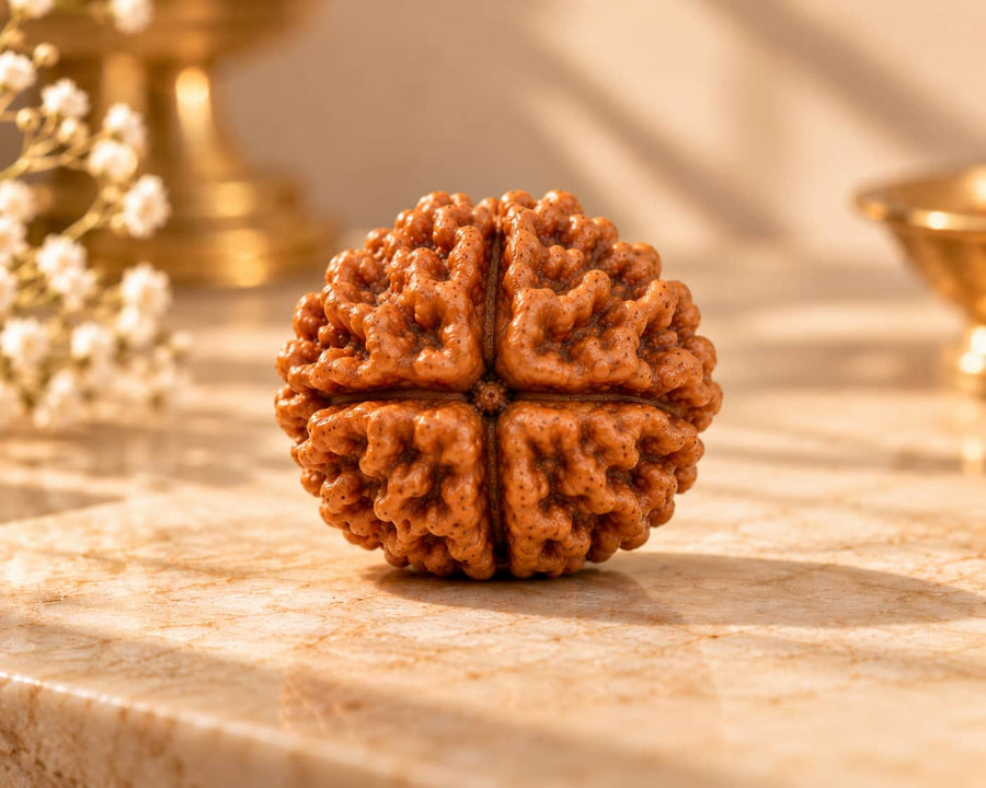 4 Mukhi