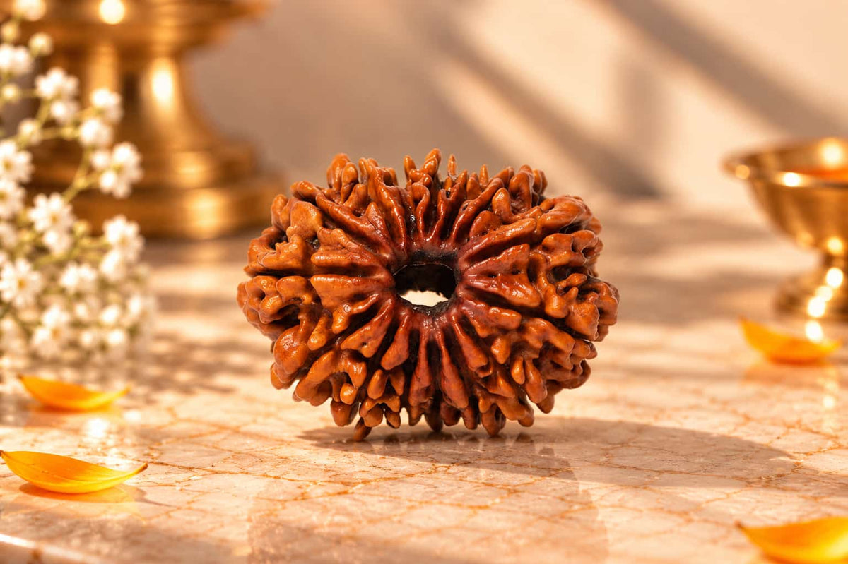 15 Mukhi