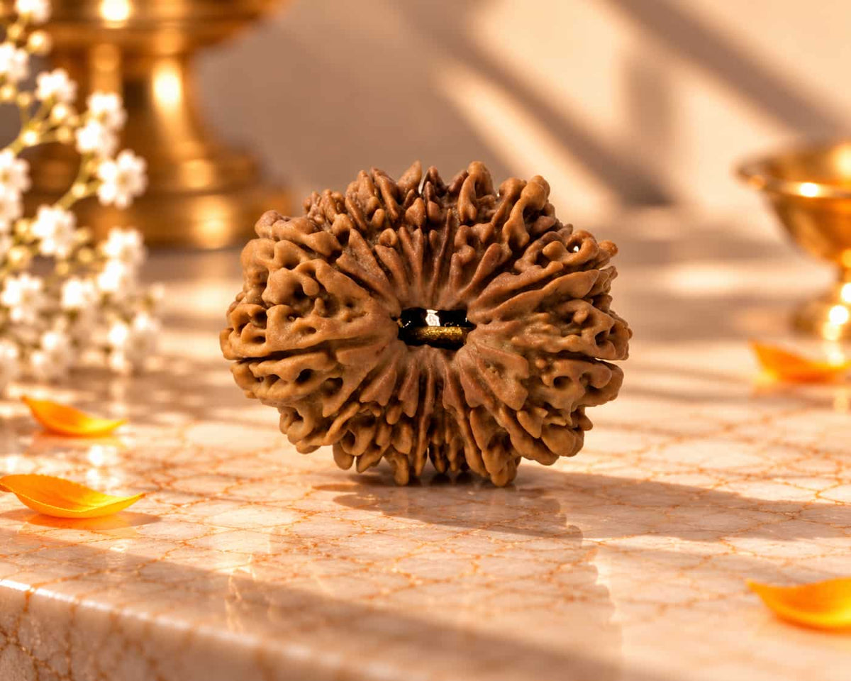 16 Mukhi
