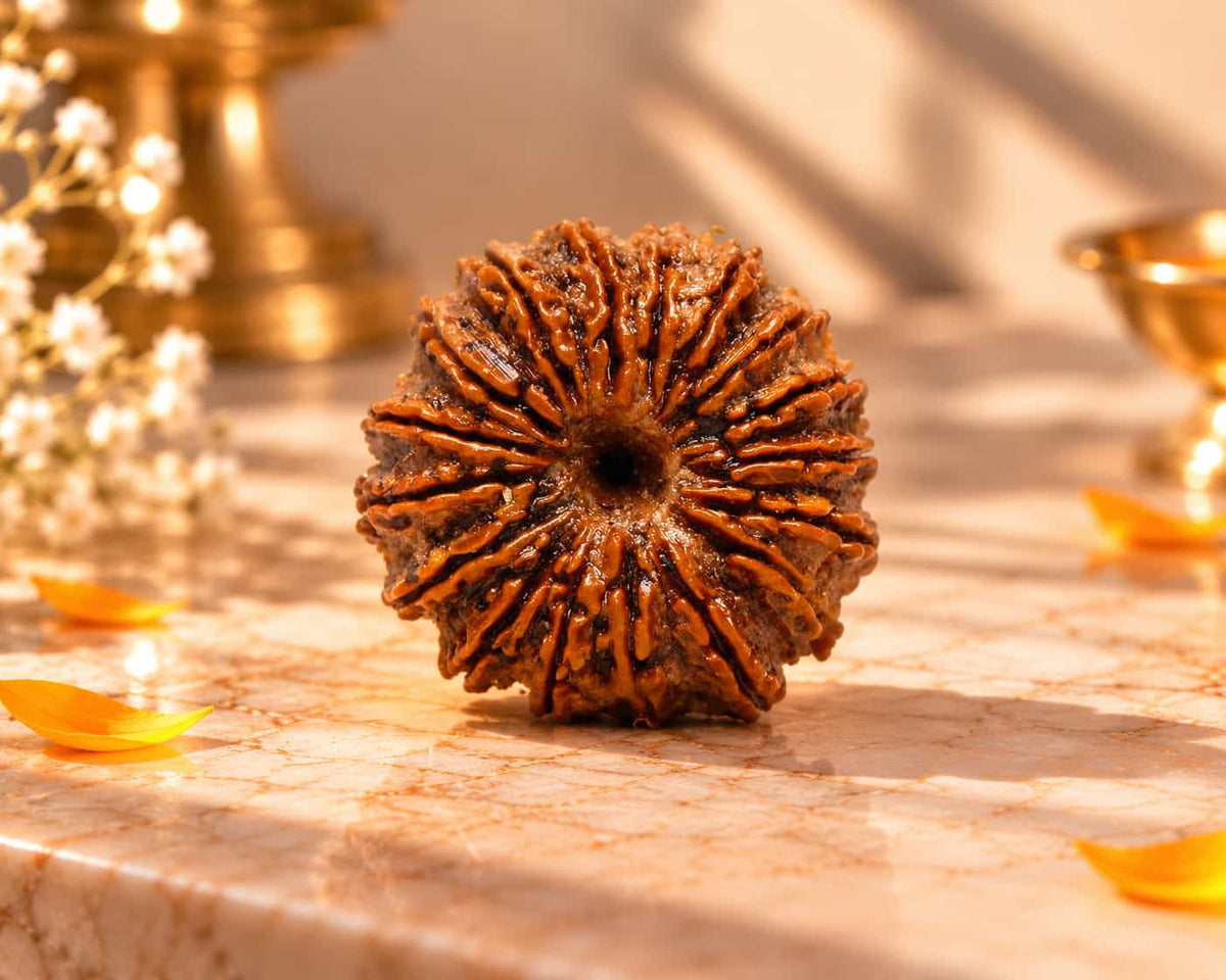 18 Mukhi