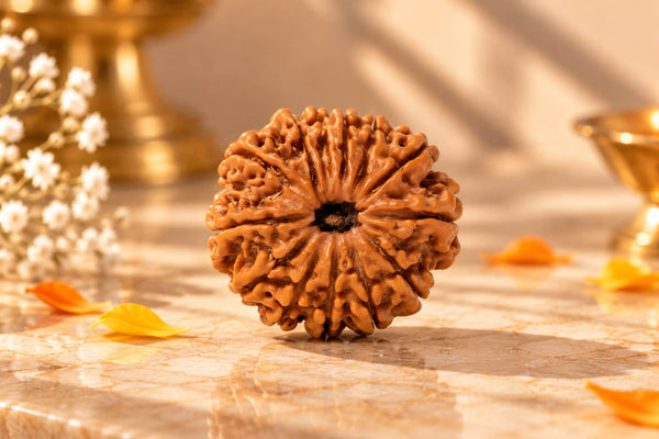 13 Mukhi