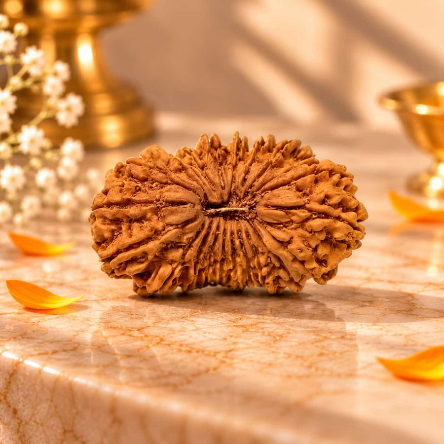 21 Mukhi