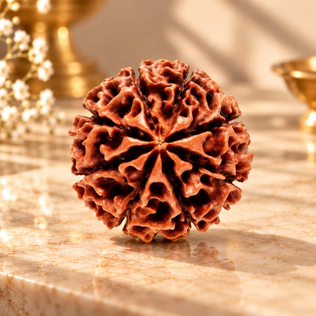 8 Mukhi