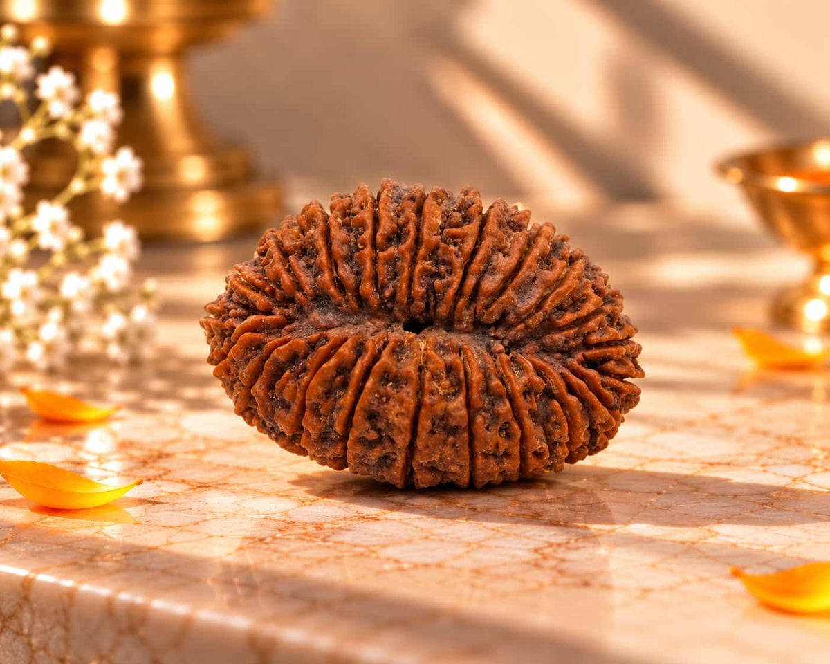 20 Mukhi