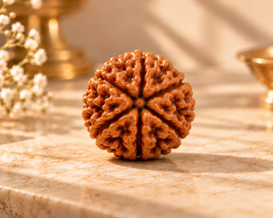 6 Mukhi