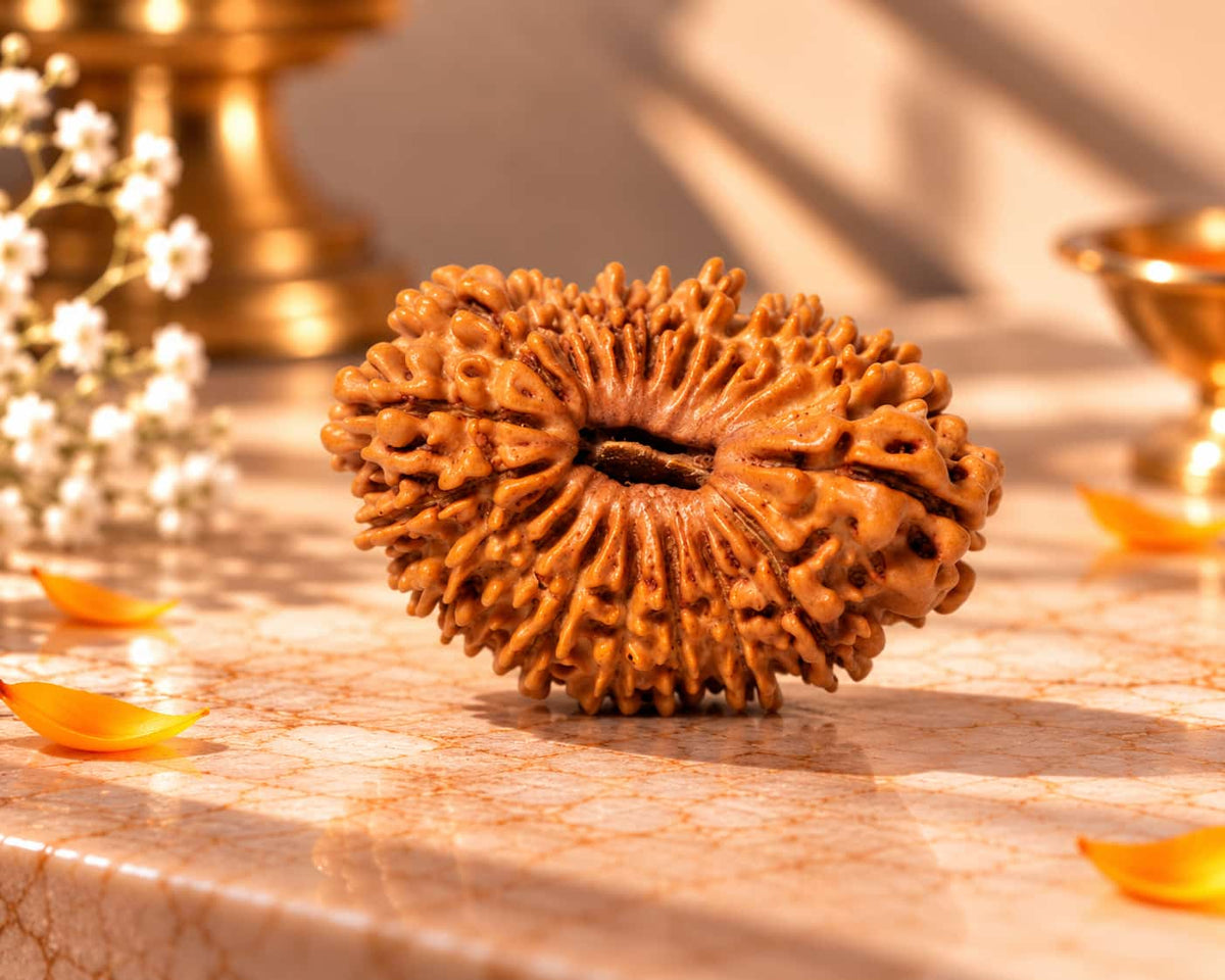 19 Mukhi