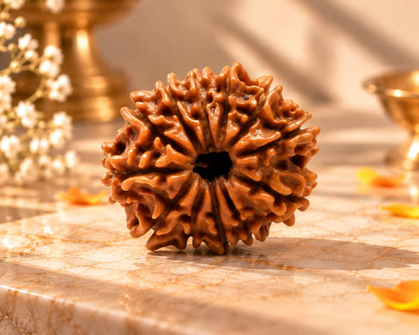12 Mukhi