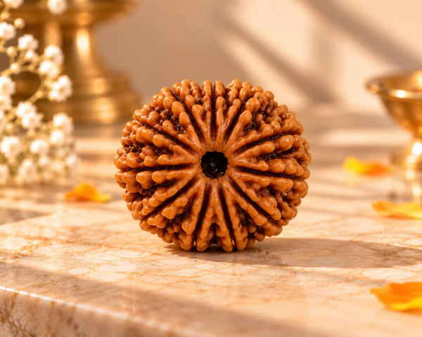 11 Mukhi